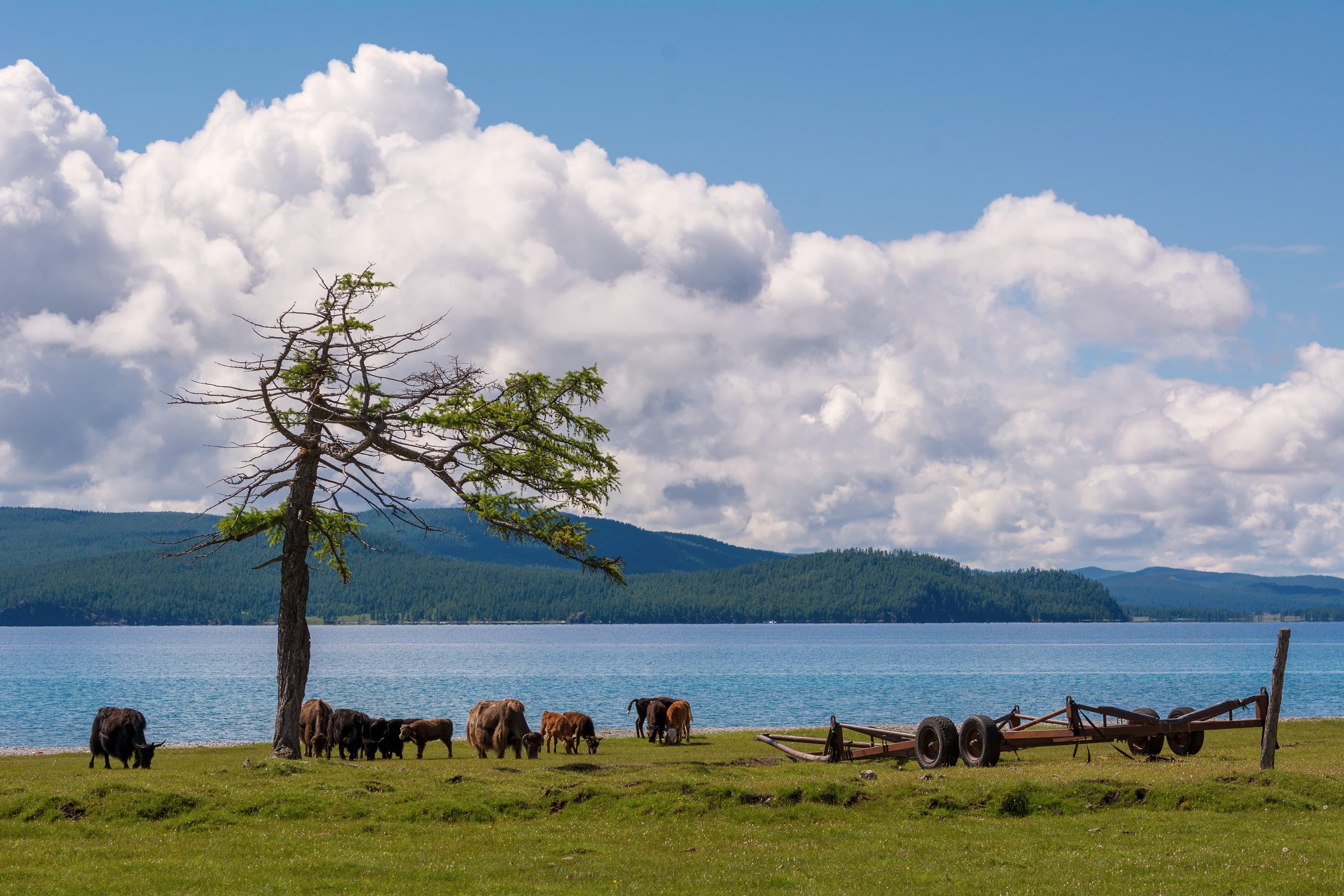 9 Days 8 Nights Khuvsgul Lake, Hot Springs & Terelj National Park Tour