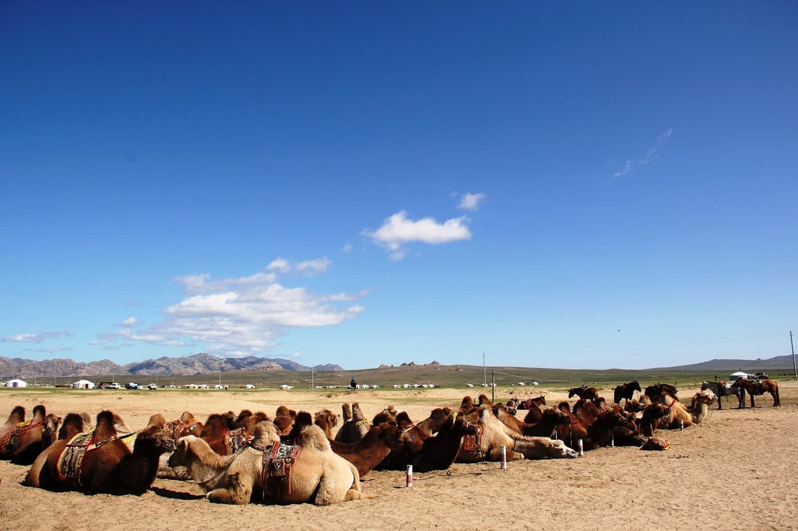 5 Days 4 Nights Central Region & Hot Springs Tour