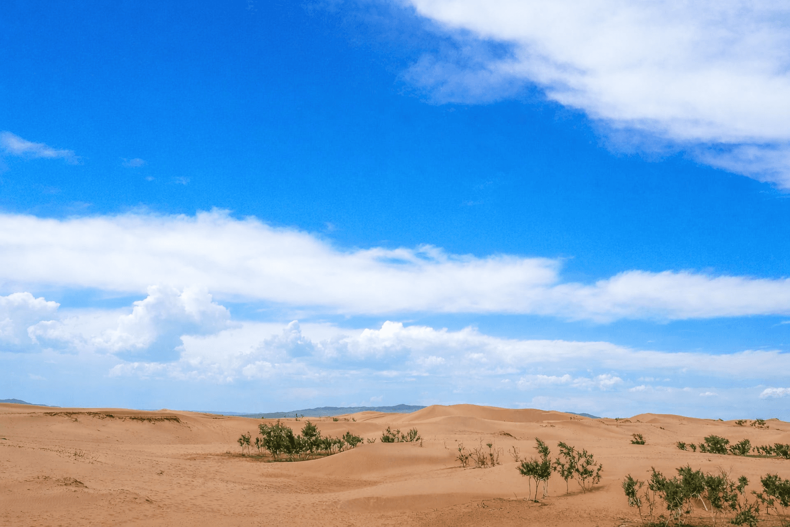 2박3일 미니 사막 + 테를지 국립 공원 투어