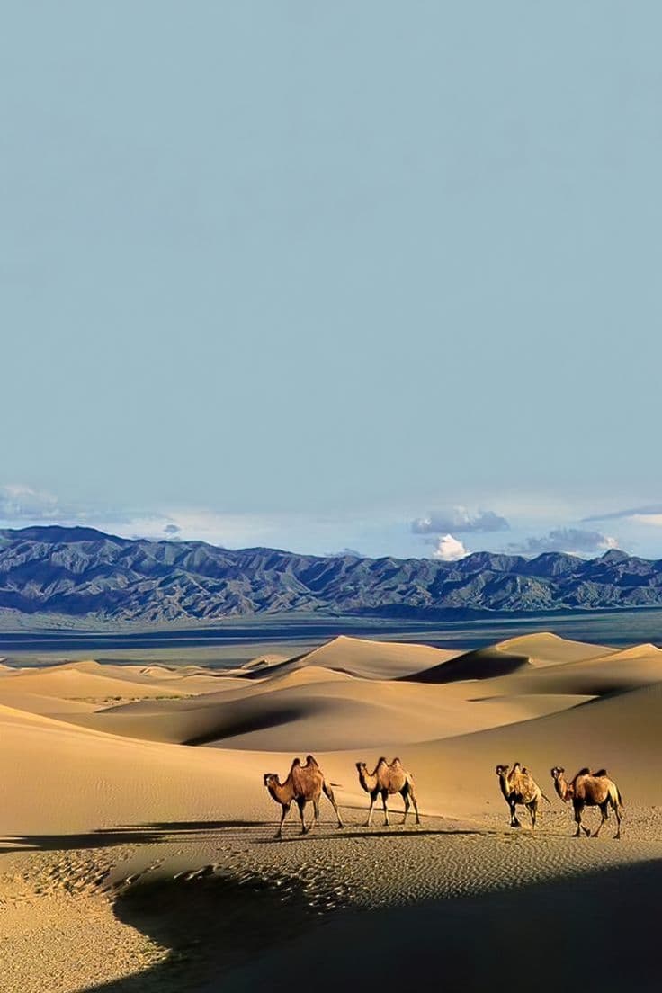 Gobi Desert Tour