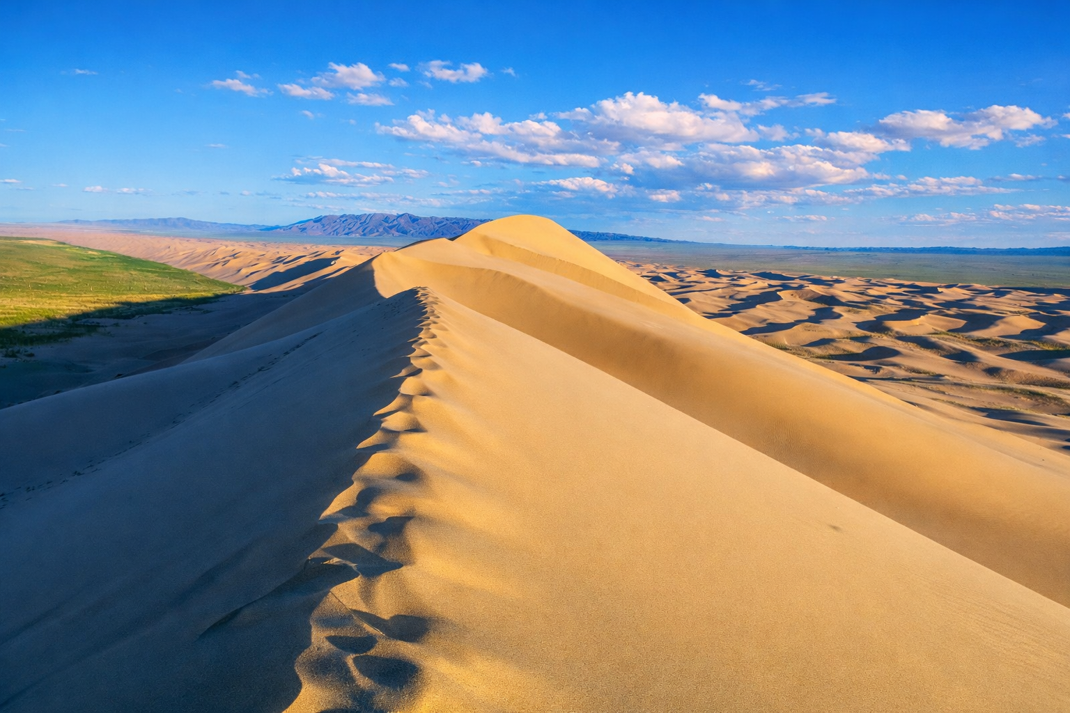 욜링암 - 홍고린엘스