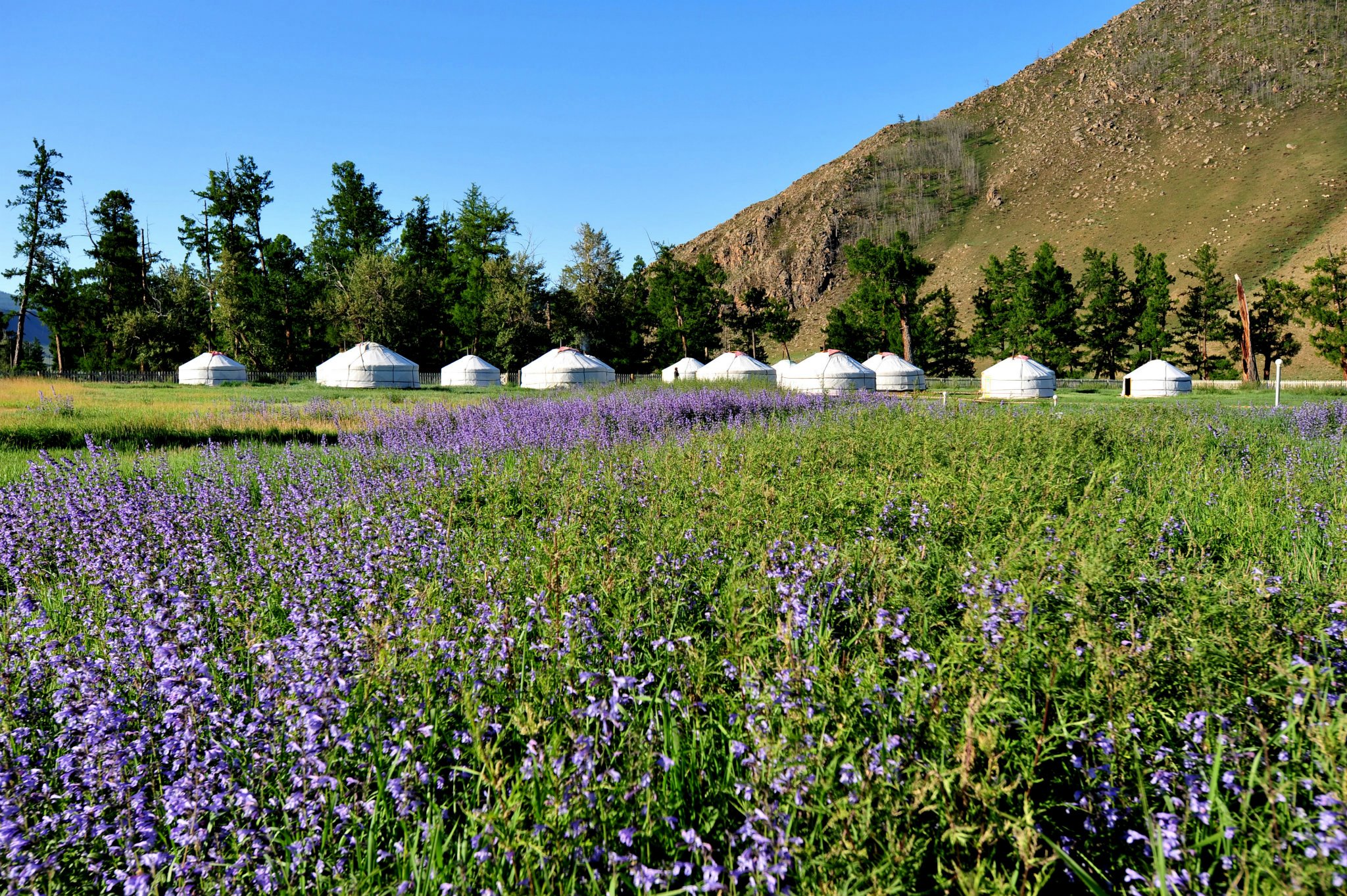 홉스골 호수 - 자르갈란트 온천