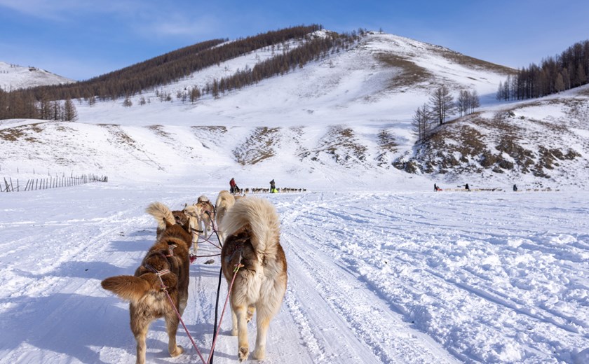 미니 사막 - 테를지 국립공원